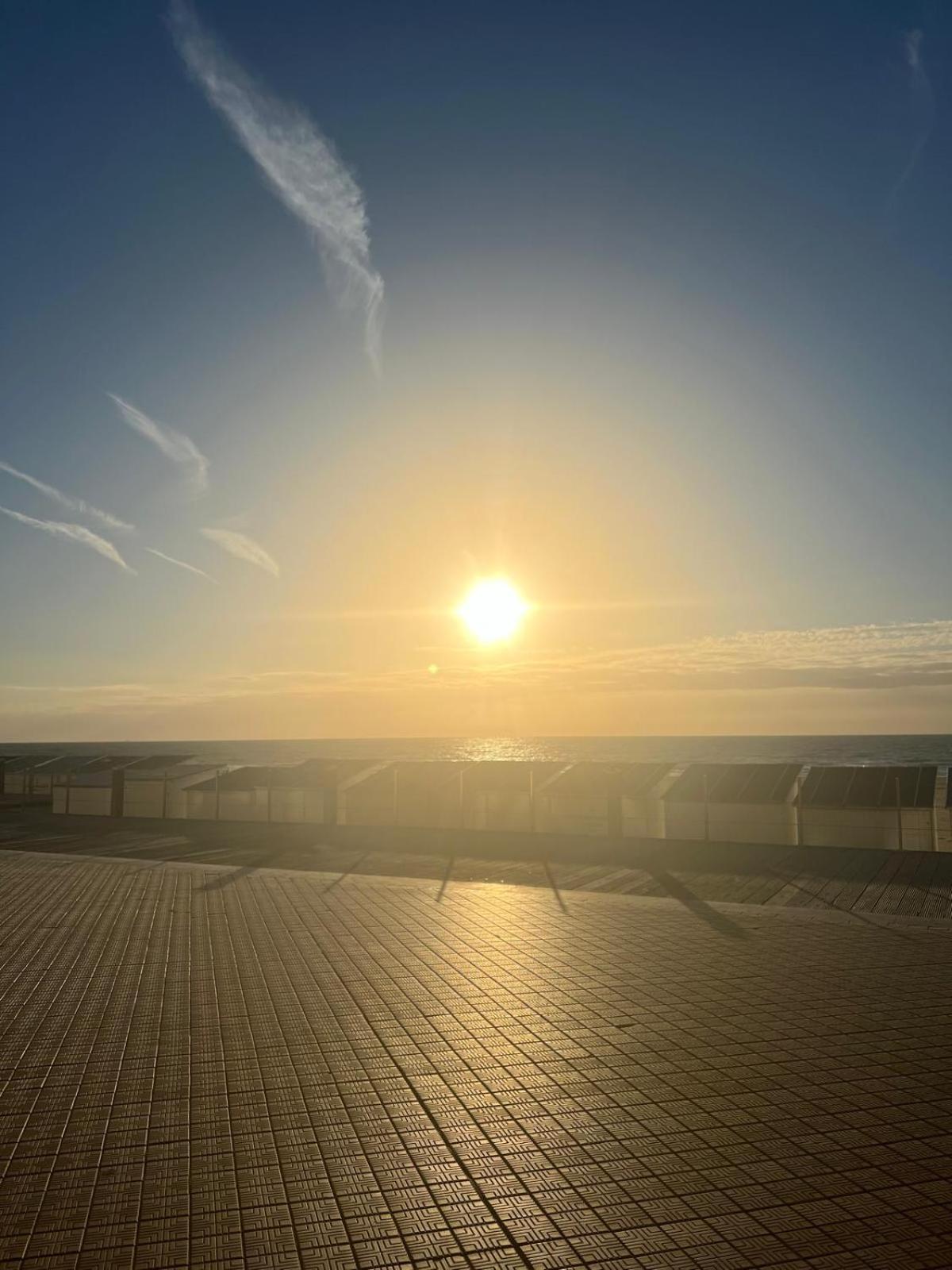 Bonelly Daire Oostende Dış mekan fotoğraf